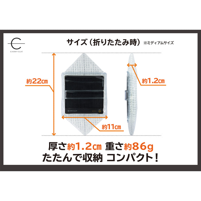 キャリーザサン