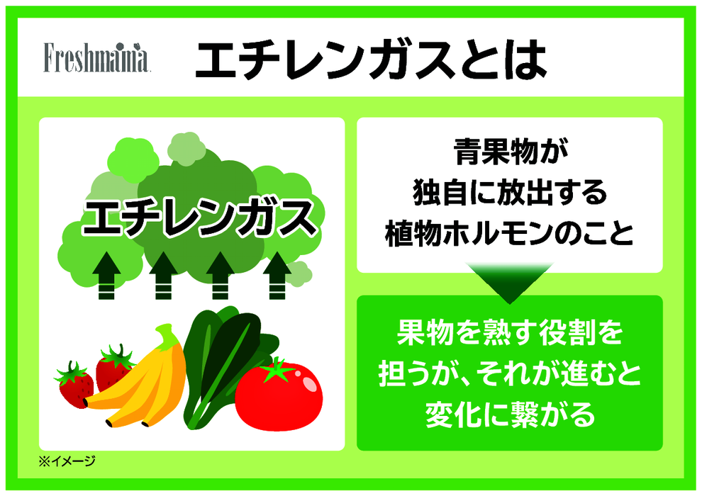 (60枚)フレッシュママ　野菜・果物保存袋