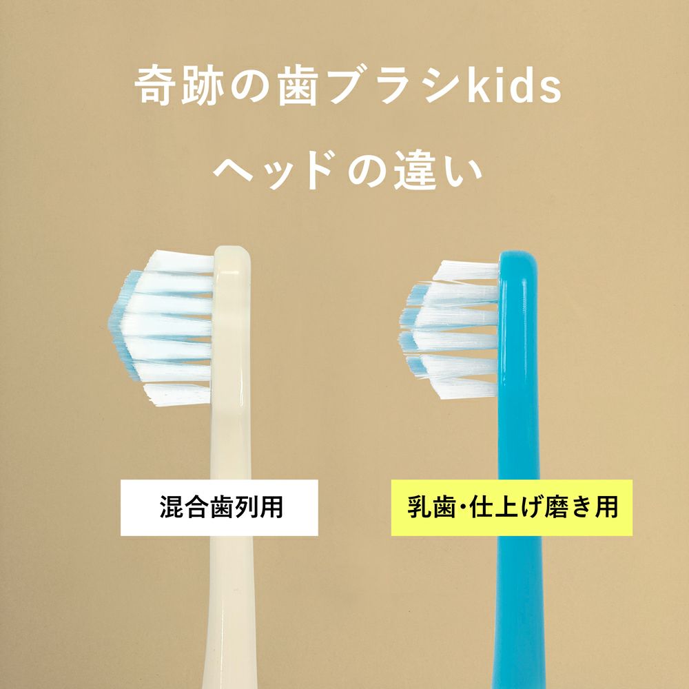 (混合歯列用)(6本)奇跡の歯ブラシポケットイン　子供用（混合歯列用）6本セット